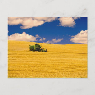 Cartão Postal NA, EUA, Estado de Washington, Região de Palouse,