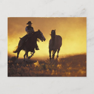 Cartão Postal NA, EUA, Oregon, Seneca, rancho de Ponderosa,