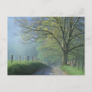 Cartão Postal NA, EUA, Tennessee, Cades Cove, Great Smoky