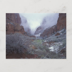 Cartão Postal NA, EUA, Utah, Zion NP, Tempestade de neve de prim