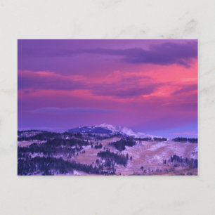 Cartão Postal NA, EUA, Wyoming, Yellowstone NP, Lamar Valley