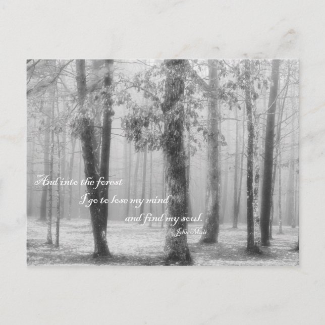 Cartão Postal Na Floresta Ir - Cartão-postal (Frente)