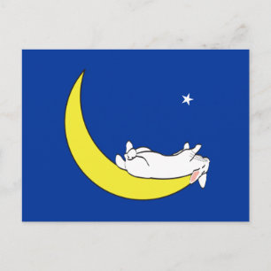 CARTÃO POSTAL NA LUA