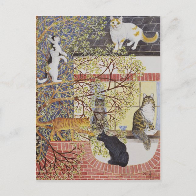 Cartão Postal Na luz do limite (Frente)