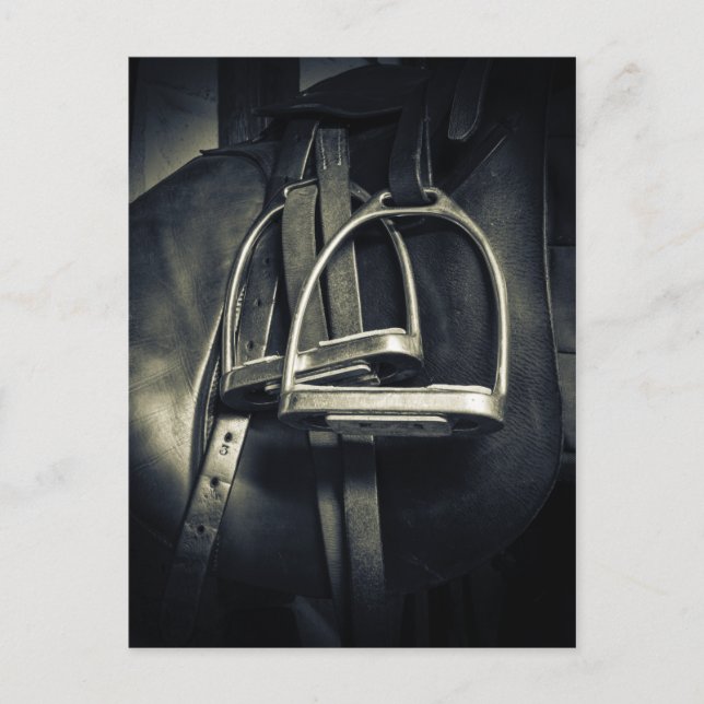 Cartão Postal Na moda Silver Stirrups em Inglês Riding Saddle (Frente)
