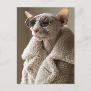 Cartão Postal Na moda Sphynx Cat nos óculos escuros e Sherpa Cas