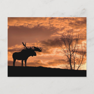 Cartão Postal na Placa de Posto Sunset