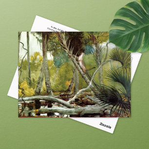 Cartão Postal Na Selva Flórida Winslow Homer