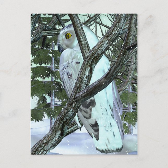 Cartão Postal Na Selvagem Snowy Owl (Frente)