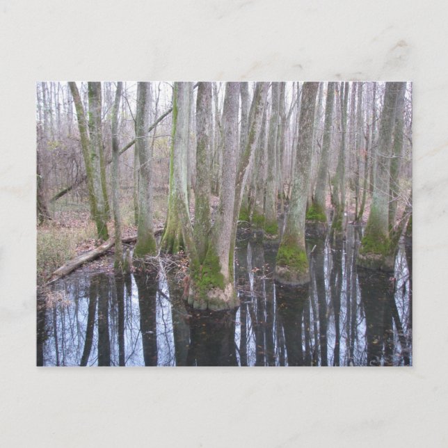 Cartão Postal na terra do makeAcredite (Frente)