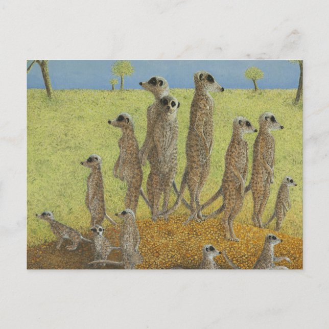 Cartão Postal Na vigia (Frente)