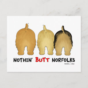 Cartão Postal Nada de Norfolks Bumbuns