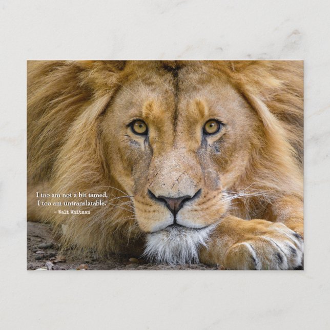 Cartão Postal Nada Domesticado - Citação Motivacional + Sua Foto (Frente)