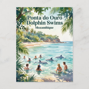 Cartão Postal Nadando com Golfinhos na Ponta do Ouro Moçambique