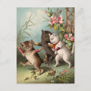 cartão postal Naghty Cats