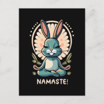 namaste coelho yoga coelho meditação