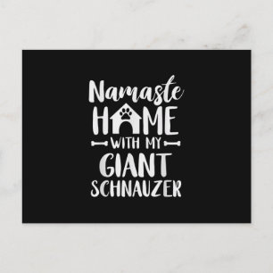 Cartão Postal Namaste Home Giant Schnauzer - Schnauzer Lover