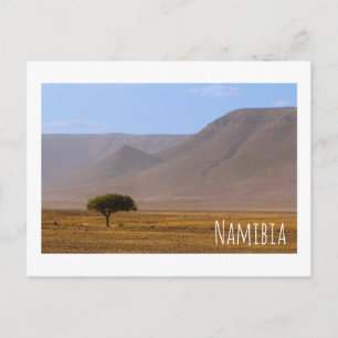 Cartão Postal Namíbia África Desert Scenery Natureza