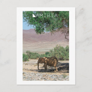 Cartão Postal Namíbia Africa Huab River Elephant Damaraland