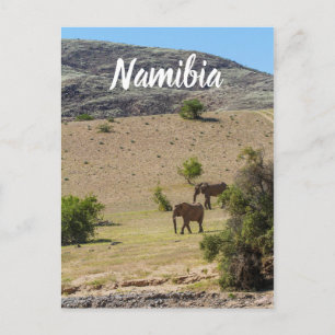 Cartão Postal Namíbia Africa Huab River Elephant Damaraland