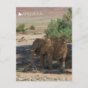 Cartão Postal Namíbia África Rio Huab Elefante Damaraland