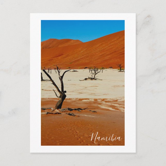 Cartão Postal Namíbia Sand Dunes Landscape Sossusvlei (Frente)