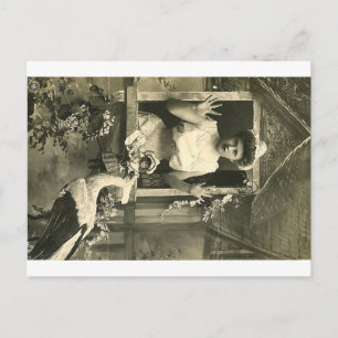 Cartão Postal Não! A cegonha infernal!