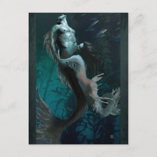 Cartão Postal Não deixar cartão-postal