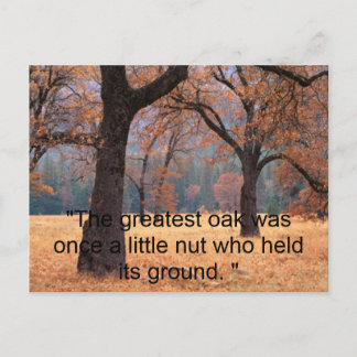 Cartão Postal Não desista