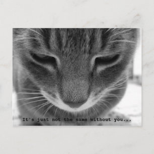 Cartão Postal Não é o mesmo sem você...