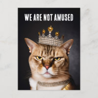 Não Estamos Divertidos Gato Mal-Humorado Real Usan