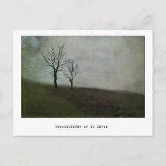 Cartão Postal Não fale palavras amargas -