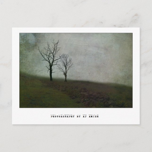 Cartão Postal Não fale palavras amargas - (Frente)