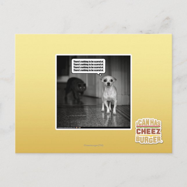 Cartão Postal Não há nada de que se ter medo (Frente)