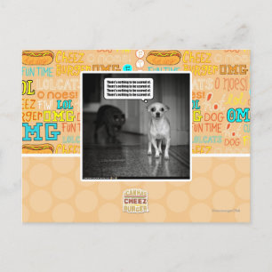 Cartão Postal Não há nada scared de