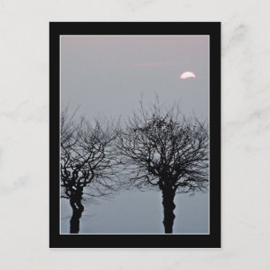 Cartão Postal Não Ir Cartão-Postal