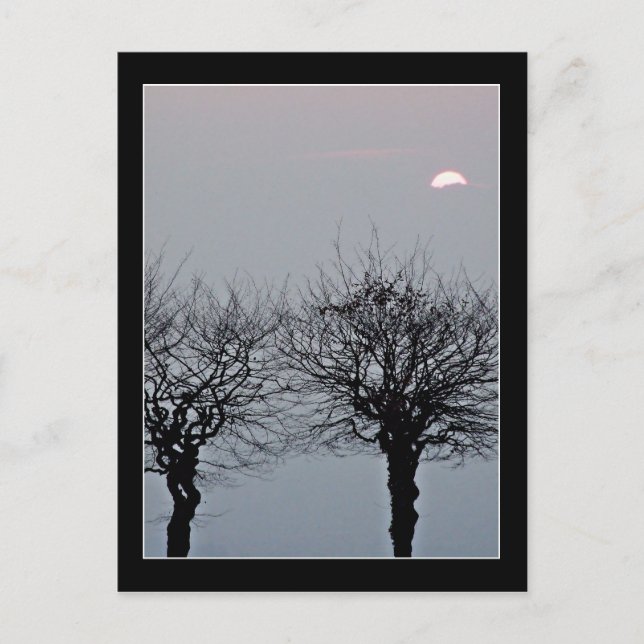 Cartão Postal Não Ir Cartão-Postal (Frente)