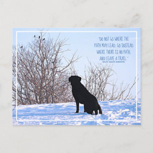 Cartão Postal Não Ir Onde O Caminho Pode Liderar A Cotação Emers