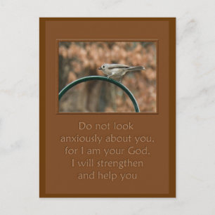 Cartão Postal não olhe com ansiedade sobre seu pássaro na arca
