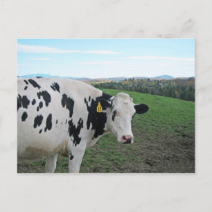 Cartão Postal Não olhe para trás