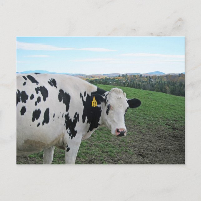 Cartão Postal Não olhe para trás (Frente)