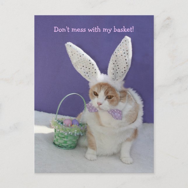 Cartão Postal Não se meta com a minha cesta! (Frente)