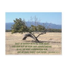 Não se meta em seu próprio entendimento