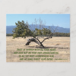 Cartão Postal Não se meta em seu próprio entendimento