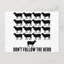 Não sigas o "Herd of Sheep"