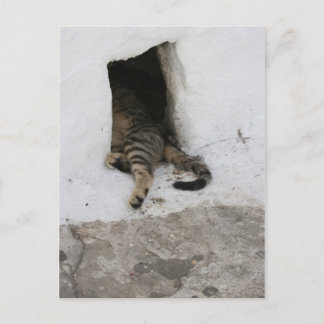 Cartão Postal Nap