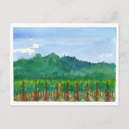 Cartão Postal Napa Valley Vineyard Rosa vermelha Watercolor Pain