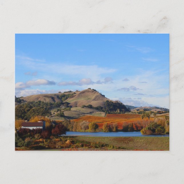 Cartão Postal Napa Valley Wine Country in the Fall (País do Vinh (Frente)