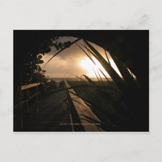 Cartão Postal Naples Sunset