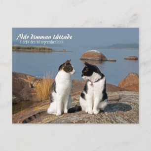 Cartão postal När dimman lättade CC0547